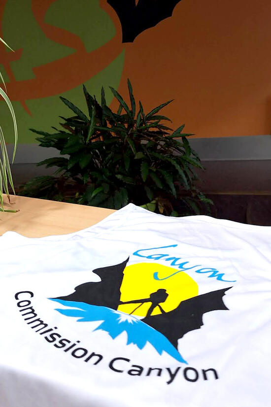 T-shirt Commission Canyon