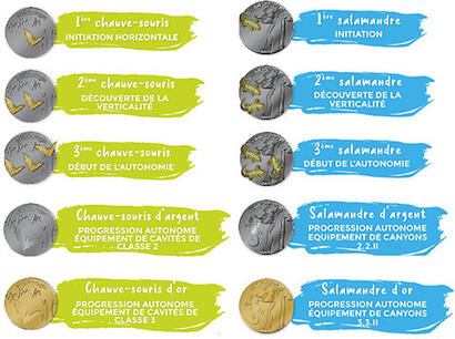 Chauves-souris Chauves-souris