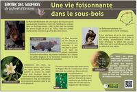 Panneau N°6 La biodiversité en forêt Panneau N°6 La biodiversité en forêt
